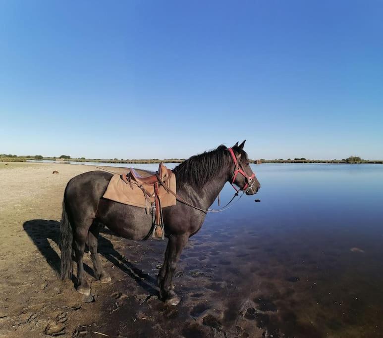 Gite A Saint Andre Des Eaux Exterior foto